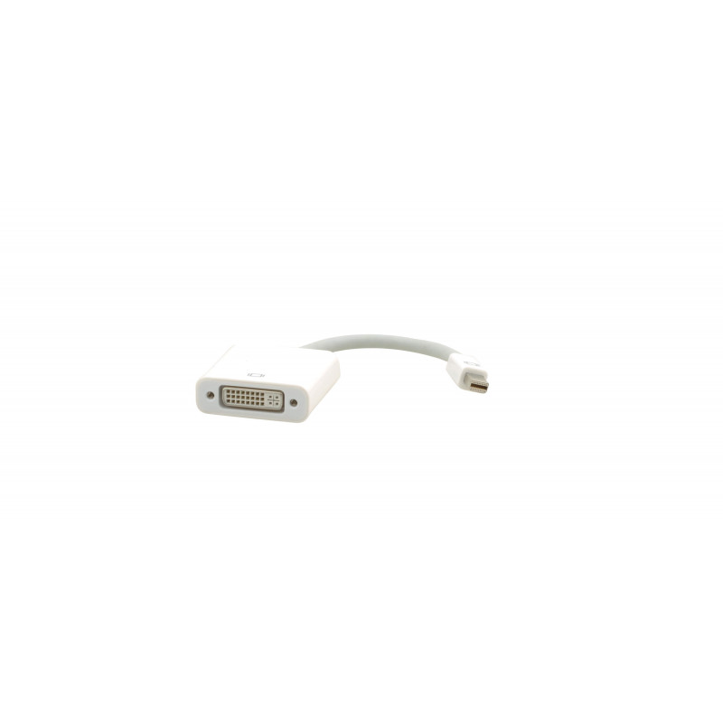 Câble Adaptateur Mini DisplayPort (M) vers DVI–D (F)
